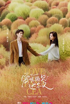 洛龙区网站优化设计公司